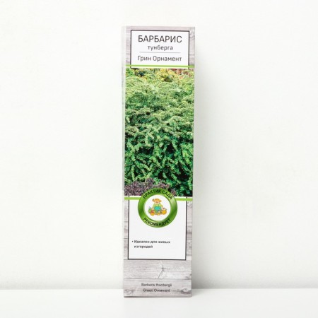 Barberis Tunberg "Green Ornament", 1 pc, tube, spring 2024