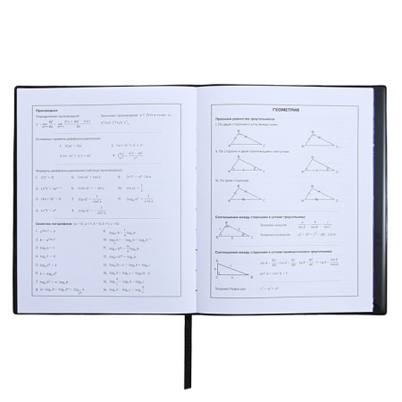 Universal Diary Grade 1-11, 48 sheets "Urban", a soft cover of PVC, embossing with foil, pocket, liesa, an offset unit-9