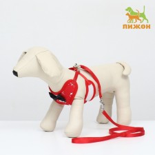 A set with a soft harness and a bow 