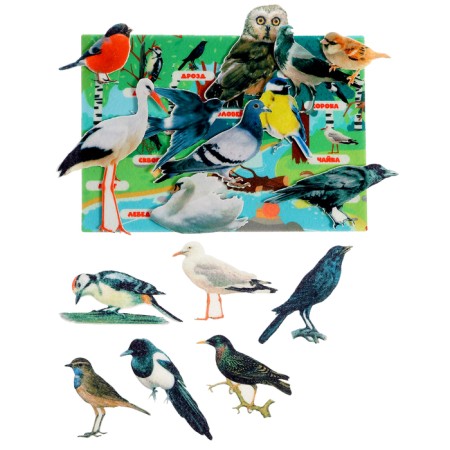 Game - designer "Studying birds" 16 details-1