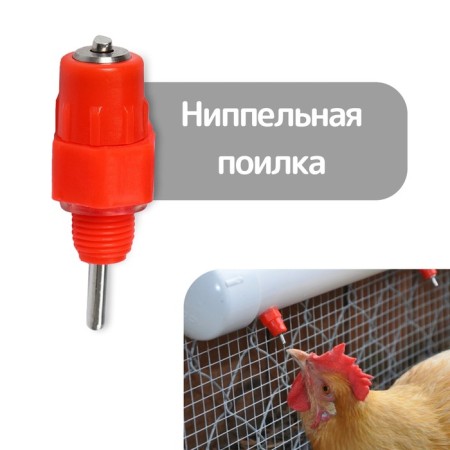 Drinking drinker for poultry, Greengo
