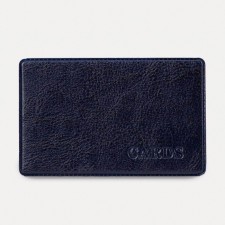Cover for travel ticket, blue color