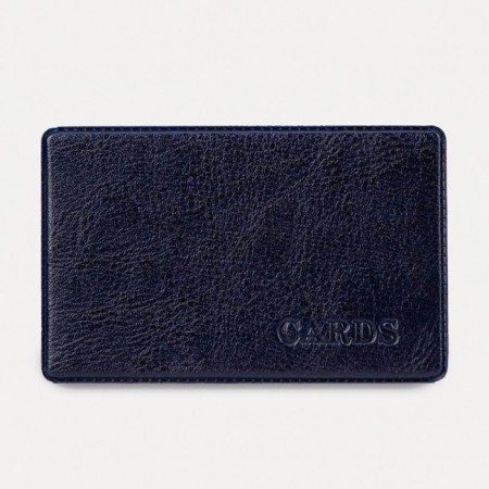 Cover for travel ticket, blue color