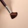 A set of makeup brushes, 5 objects, dark brown color