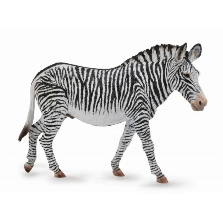 Figure "Zebra Grevi", XL