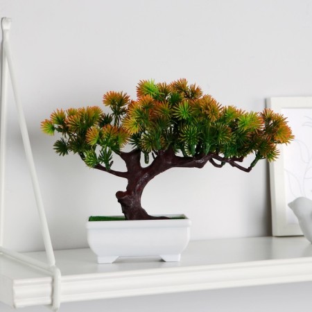Bonsai in the pot "coniferous tree" 10.5x18 cm mix