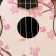 Soprano Upophane Music Life, Sakura