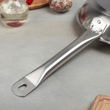 Pan, d = 22 cm, h = 5 cm, triple bottom, induction-2