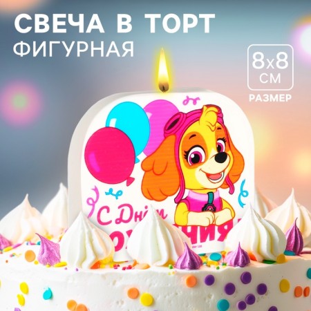 Candle for the cake "Happy Birthday!", 8 x 8 cm, puppy patrol