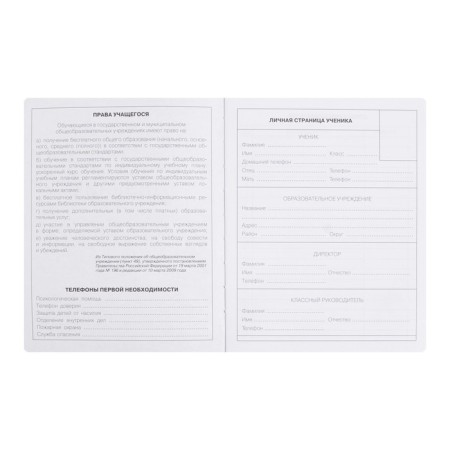 Diary Artificial leather 1-11 grade, 48 sheets, cage, hard cover, my choice. No. 9, foil embossing, rounded corners, lies, block 70g/m²-2