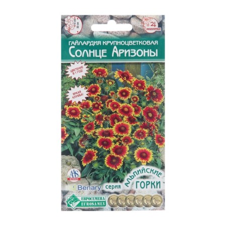 Gylardia flowers of the large -flowered "Arizona Sun", 7 pcs