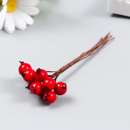 Decor for creativity "Red berries" 1 bouquet = 10 berries d = 1 cm 10 cm-1