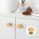 Handle button Cappio PK322, D = 30 mm, color gold