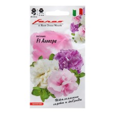 Petunia seeds 