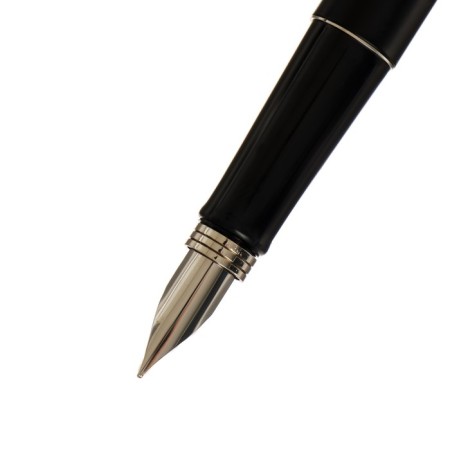 Gift feathers in the leatherette case, black body with silver-3