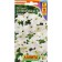 Flower seeds Petunia "Super Cascade", F1, White, Drage in a test tube, 10 pcs.