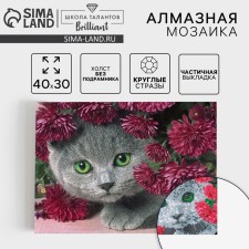 Алмазная мозаика с частичным заполнением «Котёнок», 40 х 30 см. Набор для творчества