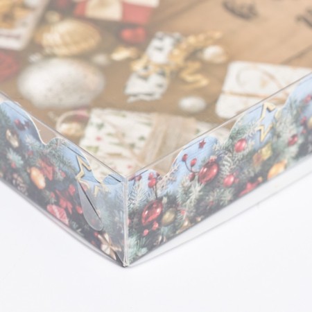 Box for cookies "Dried Gifts", 22 x 15 x 3 cm-9