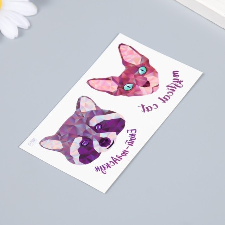 Tattoo on the body color double "Sphinx and raccoon" 10.5x6 cm-2