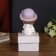 Polystone souvenir "Baby/Baby in a hat, with cocktail" Long legs mix 18x6.5x7.5 cm