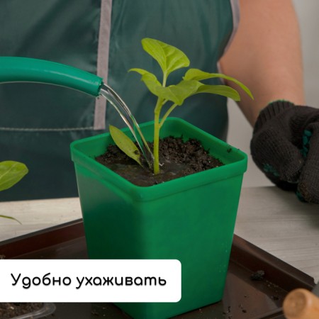 Set for seedlings: glasses of 600 ml (8 pcs), pan 36 × 18 cm, color mix, Greengo-4