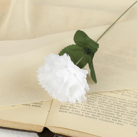 Artificial flowers "clove 25 cm, white