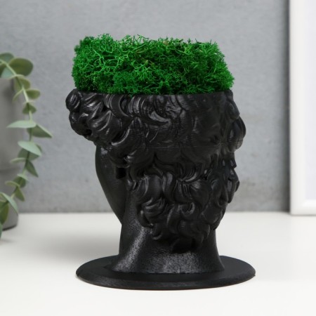 Concrete Kashpo "David" with moss black 11.5x15.5x12 cm (moss green stabilized)-2