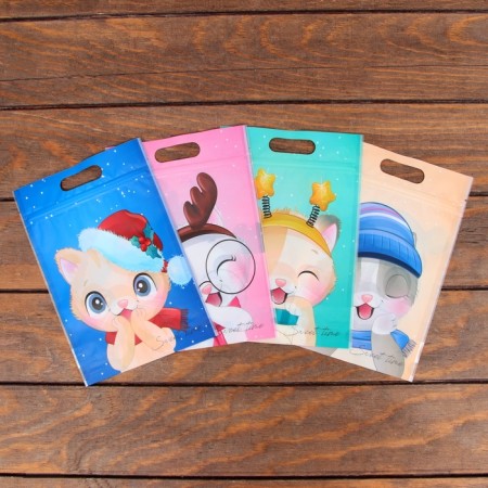 Gift package, with zip-lock fastener, "Winter kittens", 15x22cm mix
