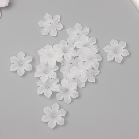 Beads for creativity plastic "Six -line white matte flower" set 40 pcs 2.1x2.1 cm
