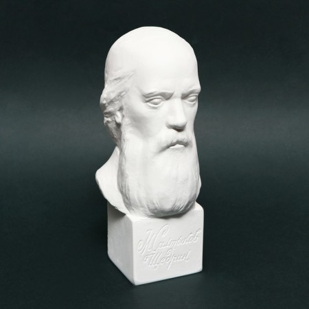 Gypsum figure famous people: Bust Saltykov-Shchedrin 20*9.5*10.5 10-195-8