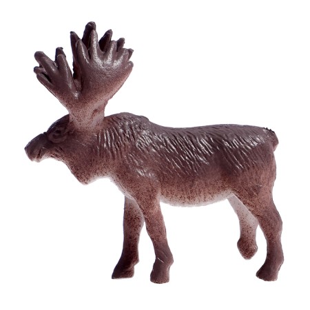 A set of animal figures "Amazing World", 12 items-2
