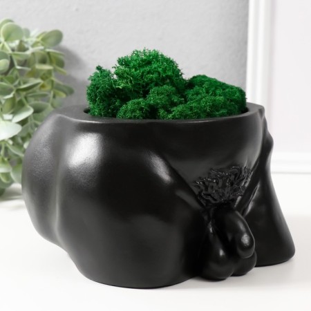 Concrete Kashpo "Dignity" with moss height 10 cm, width 17 cm black (moss green stabil)-1
