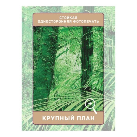 Photostes "Forest Fern", Saten, size 145x265 cm, 2 pcs-2