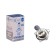 Car lamp Xenite Standart H4 (P43T)