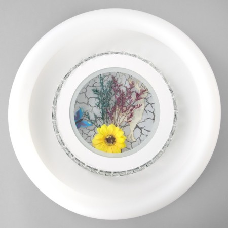 Chase with PDD "Lemonium" LED 120W 3000-6000K white 50x50x9 cm-5