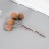 Flowers for decorating "clap" beige 1 bouquet = 6 branches d = 2 cm 11 cm