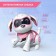 Robot dog “Chappi” IQ Bot, interactive: touch, light, sound, musical, dancing, on the battery, in Russian, pink