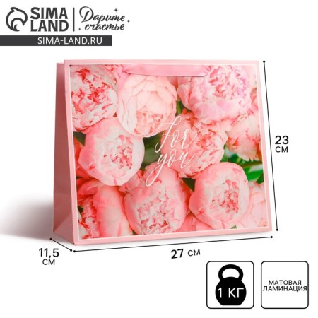Gift Laminated horizontal package, packaging, for you, ml 27 x 23 x 11.5 cm