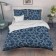 Bed linen 1.5sp Vasilisa 145x215, 150x214, 70x70cm 2pcs