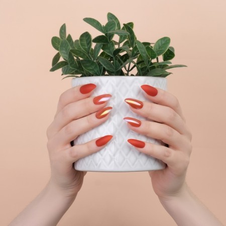 False nails, 24 pcs, with glue plates, the shape of almonds, matte/holography, coral color-13