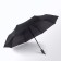 Automatic umbrella "Benjamin", 3 additions, 8 spokes, r = 47 cm, black color