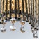 Bra Incanto, 2x33W G9, chrome