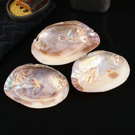 Steam stand "Shell" 15cm-2