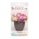Flower seeds Flower mixture cheerful day, 6 dragees