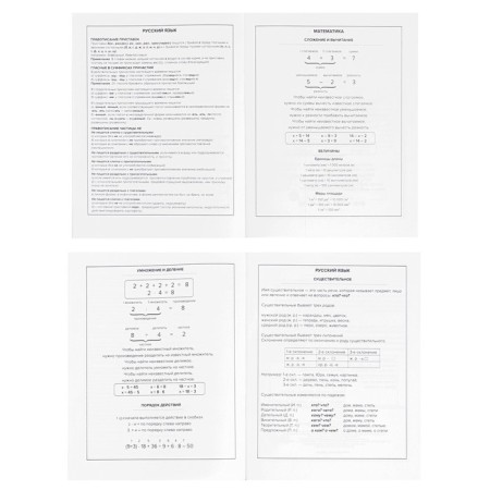 The diary is universal, for grades 1-11, "steep grizzly", a solid cover, matte lamination, selective UV-lame, an offset block, a universal cheat sheet, 48 sheets-6