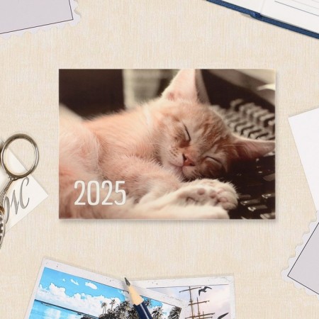 Pocket calendar "Cats" 2025, 7 x 10 cm-5