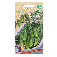 Seeds Cucumber 