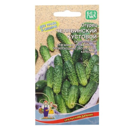 Seeds Cucumber "Chelyabinsk Kustovoy", 12 pcs