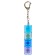 Developing toy "Key" on the key fob, mix