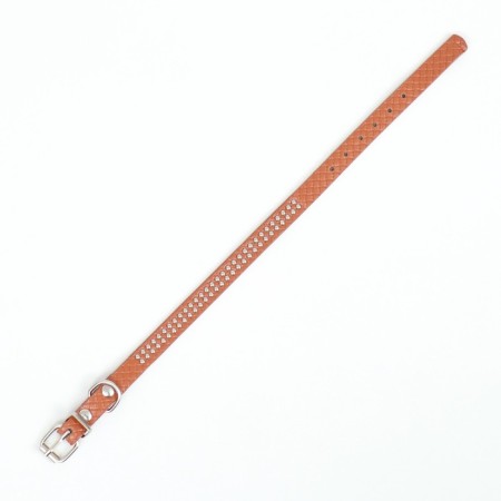 The collar of riveted with 2 rows of rivets, 33 x 1.2 cm, Osh 23-29, brown-3